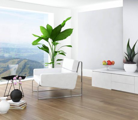 Gallery Align Right