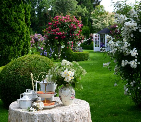 Wunderschöner Garten